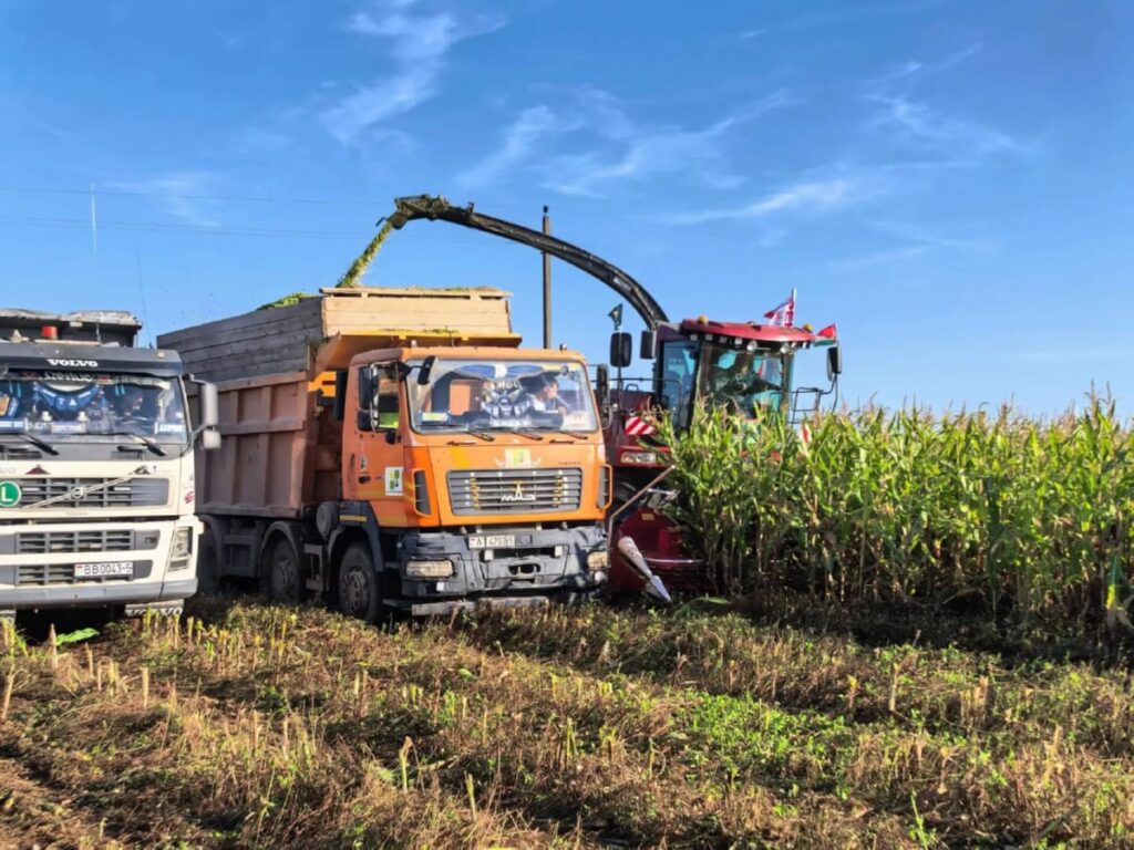 Рекорд кормоуборки: GOMSELMASH FS650 заготовил 2715 тонн за смену