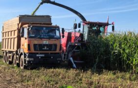 Рекорд кормоуборки: GOMSELMASH FS650 заготовил 2715 тонн за смену
